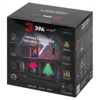 ЭРА Умная гирлянда-занавес 400 LED RGB 2х2 м Smart bluetooth IP44 ERASG -02